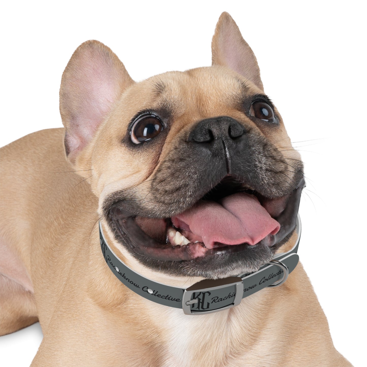 RKC Dog Collar