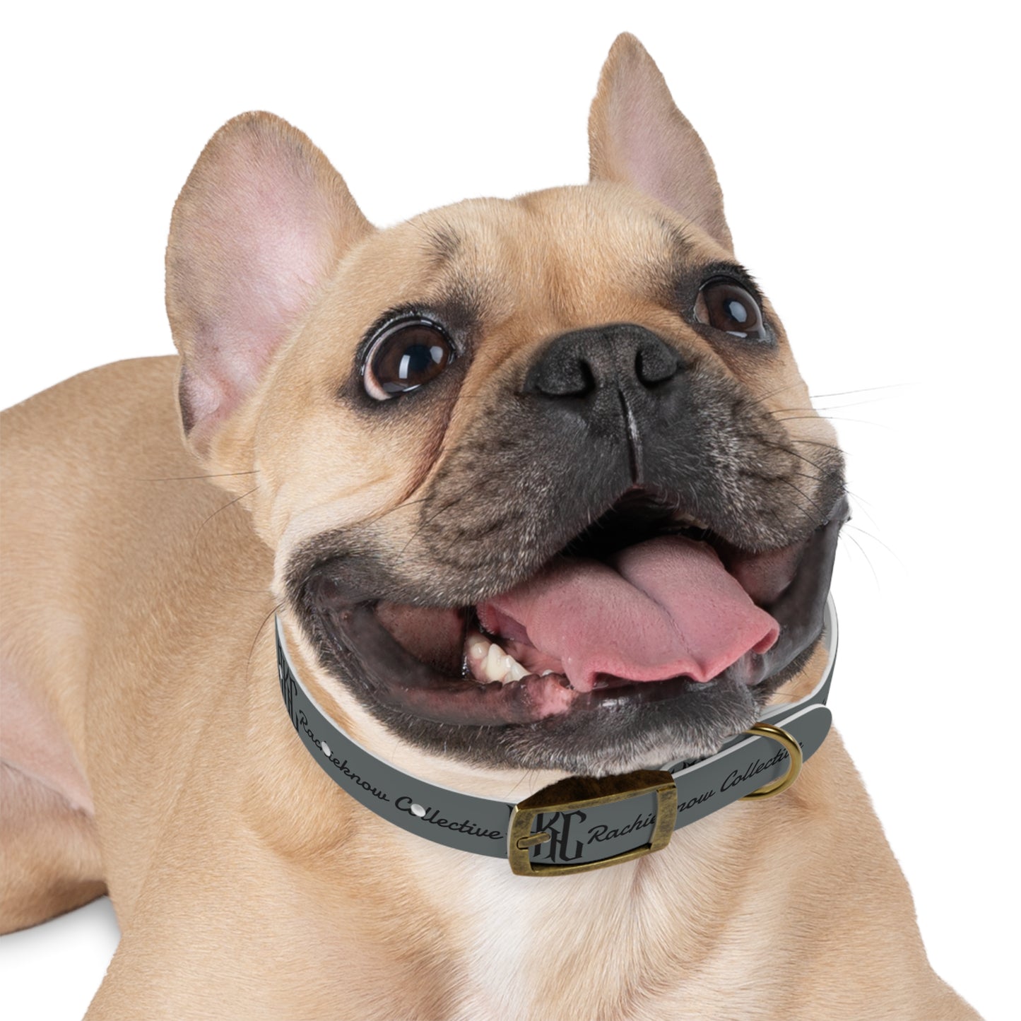 RKC Dog Collar